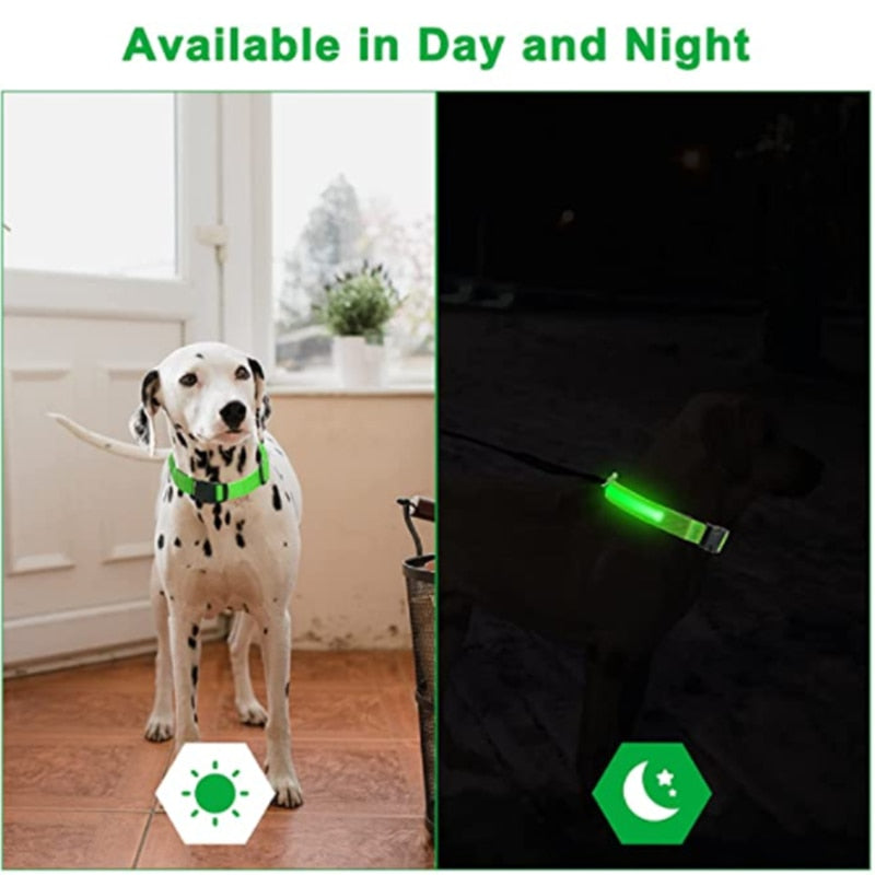 LED adjustable collar safely - Orchid Unique 