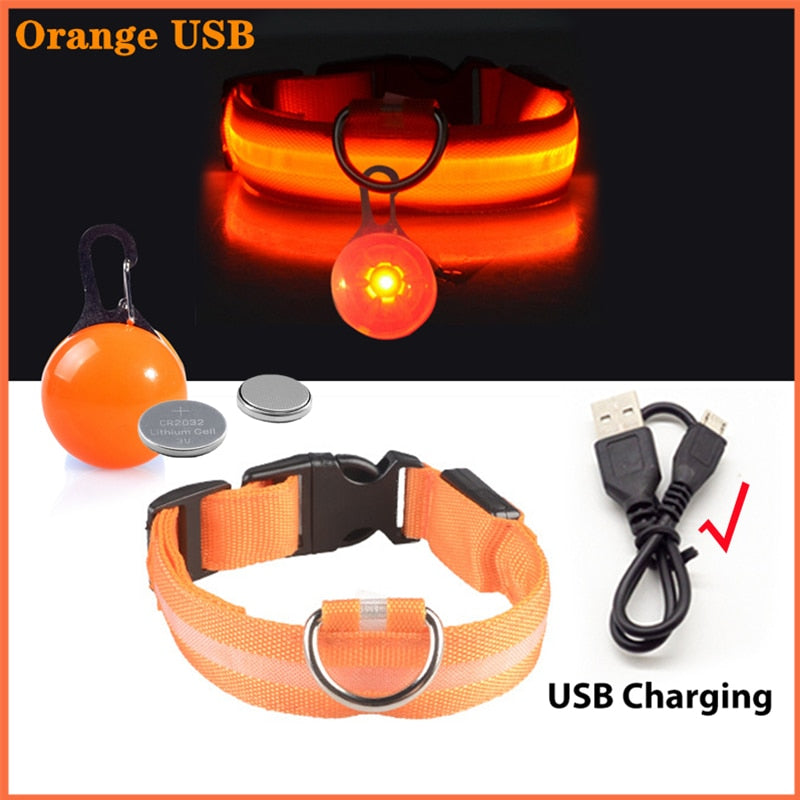 USB-charging glowing dog collar - Orchid Unique  Orchid Unique 