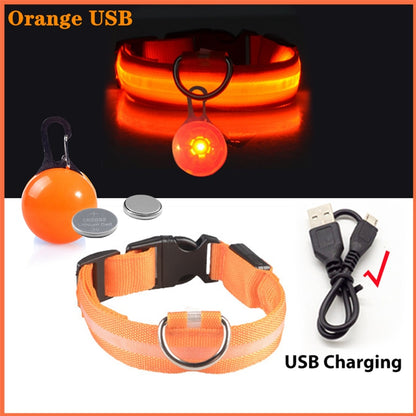 USB-charging glowing dog collar - Orchid Unique 