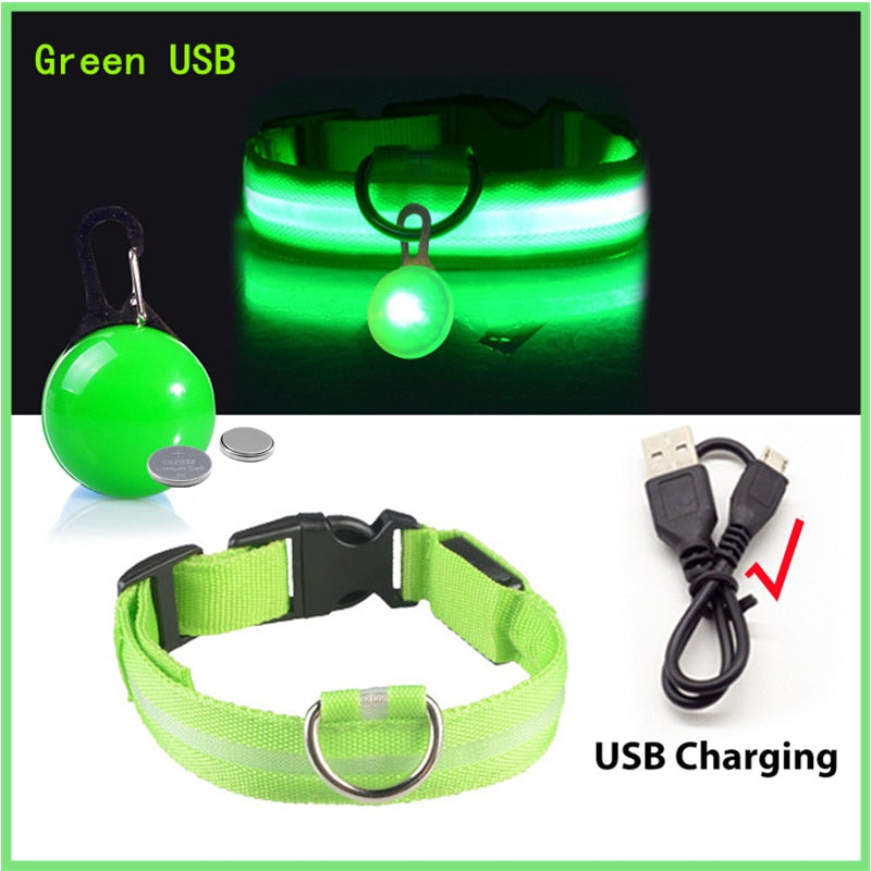 USB-charging glowing dog collar - Orchid Unique  Orchid Unique 