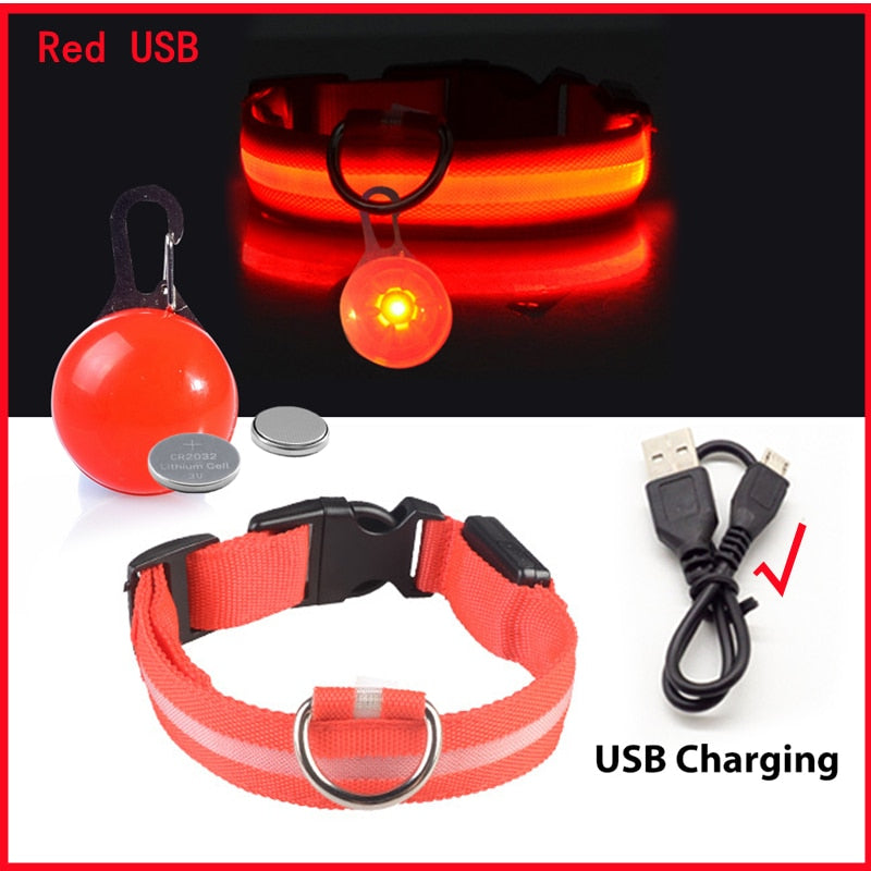 USB-charging glowing dog collar - Orchid Unique  Orchid Unique 