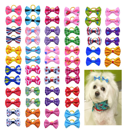 Dog Grooming Bows - Orchid Unique
