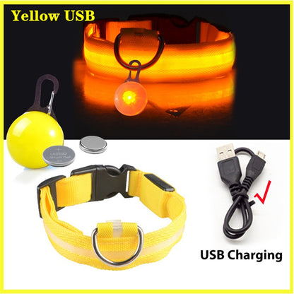 USB-charging glowing dog collar - Orchid Unique 