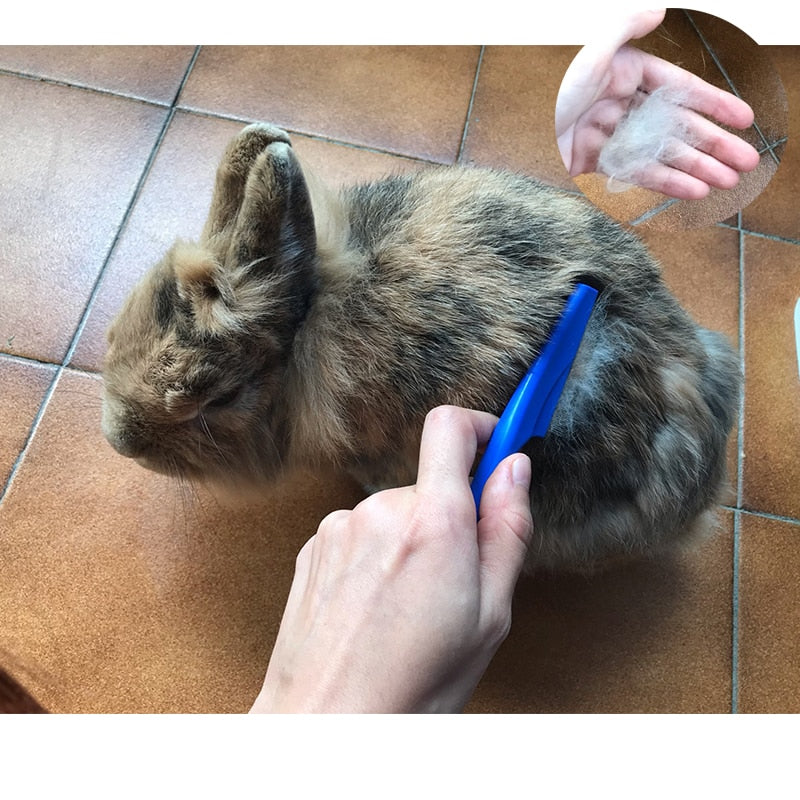 Rabbit Grooming Brush - Orchid Unique 