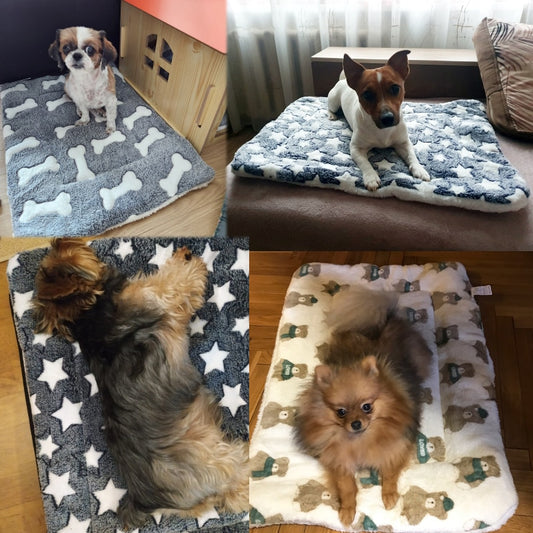 Pet Sleeping Mat - Orchid Unique