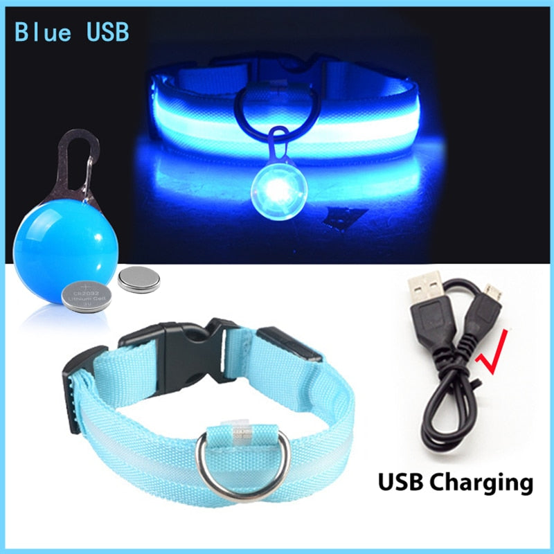 USB-charging glowing dog collar - Orchid Unique  Orchid Unique 