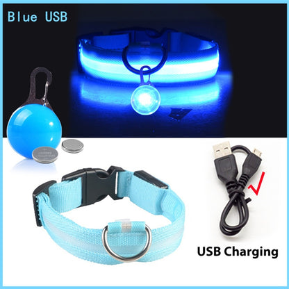 USB-charging glowing dog collar - Orchid Unique 