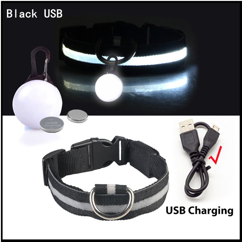 USB-charging glowing dog collar - Orchid Unique  Orchid Unique 