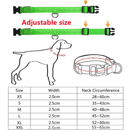 LED adjustable collar safely - Orchid Unique 